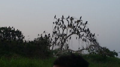 Photos of Kok Doowa