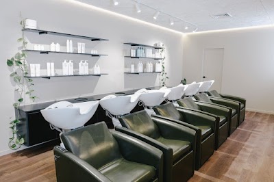 Photos of Telleish Hair Studio