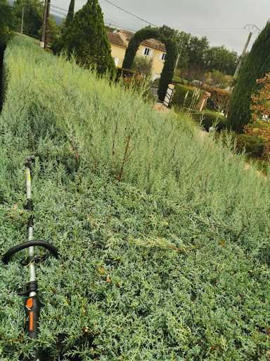 Photo de Services et Paysages à Pignans (83790)