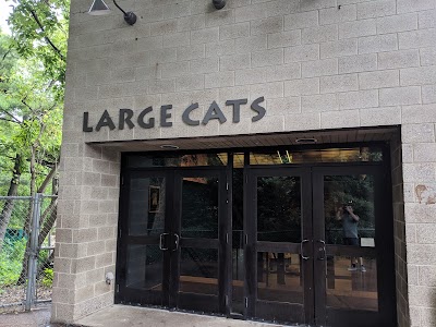 Large Cats