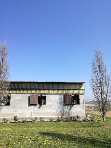 Pieve Di Santa Cristina - Thumbnail