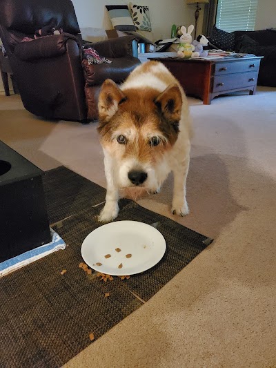 Photos of Jason-Little Road Animal Clinic