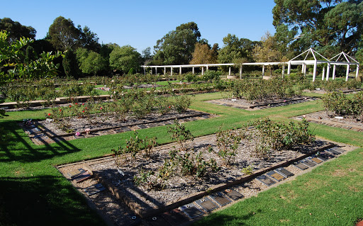 Centennial Park Adelaide - Thumbnail