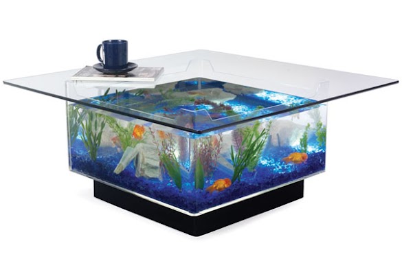 H R Fish AQUARIUM, Author: H R Fish AQUARIUM