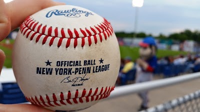 Auburn Doubledays