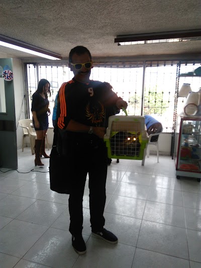 Photos of North Veterinary Polyclinic