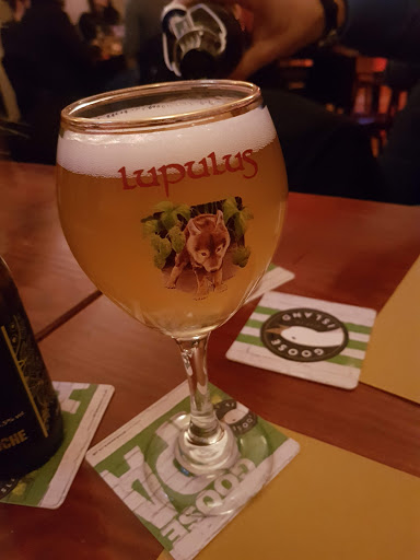 Gold Barley - Visual