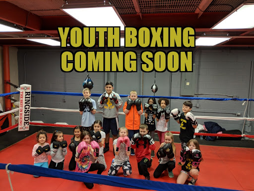 Regency Boxing - Visual