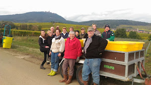 Photo n°13 de Vins d'Alsace Denis Ackermann à Rorschwihr (Concepteur de sites Web)