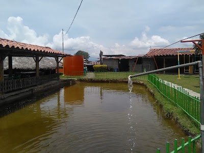 Photos of Tienda Buen Precio