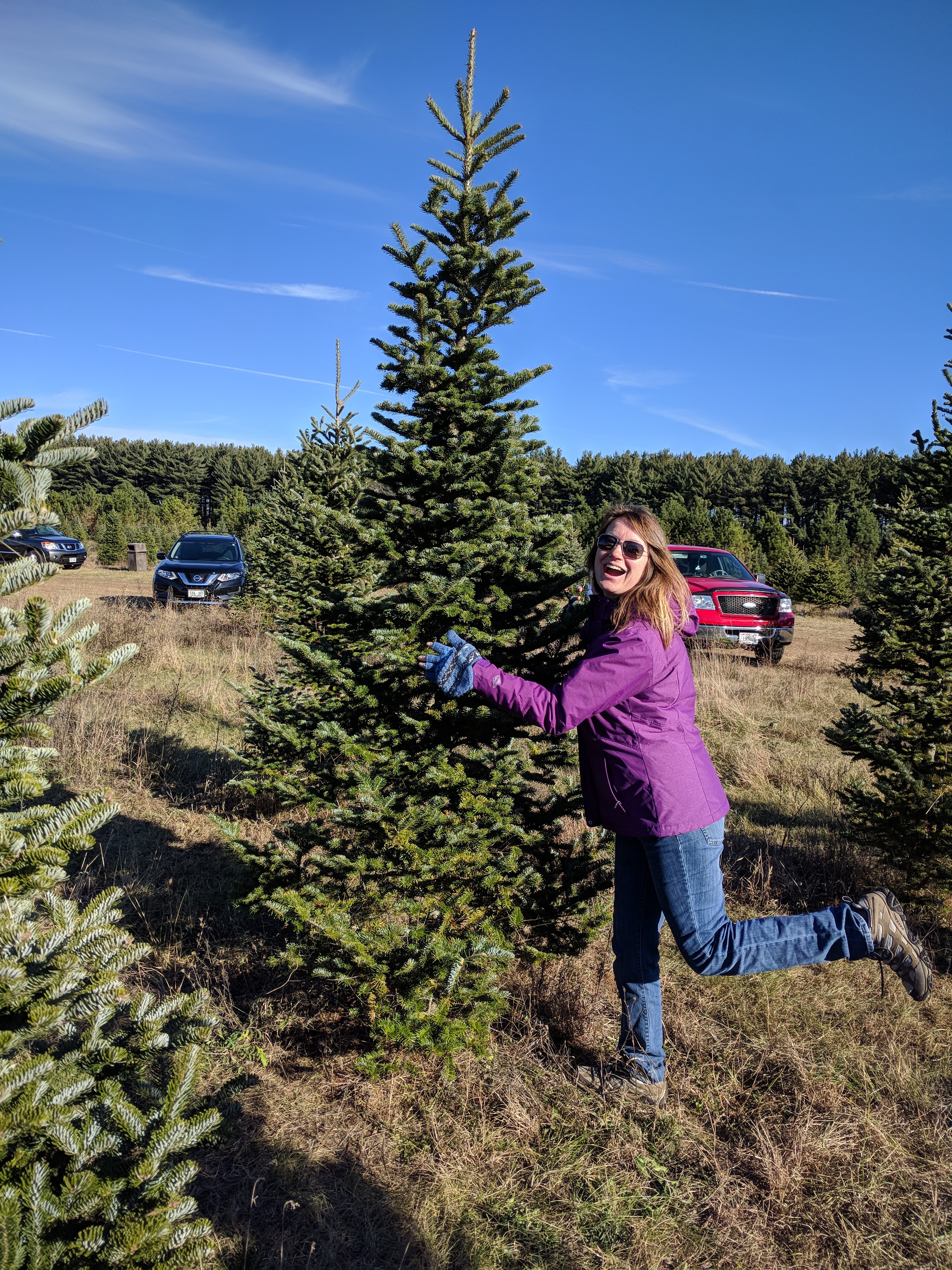 Riehle's Tree Farm