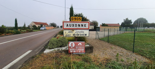 Meilleurs Biens Auxonne :Laurent Lucas bonnard