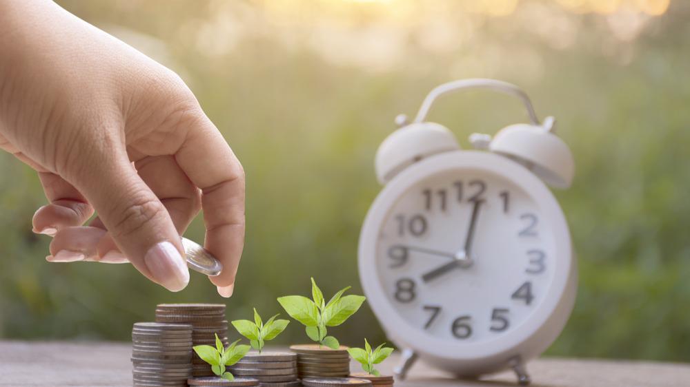 Elizabeth Camphor CPA