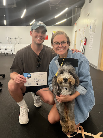 Every Dog Behavior and Training