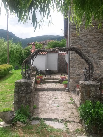 Photos of To Petrino Guesthouse