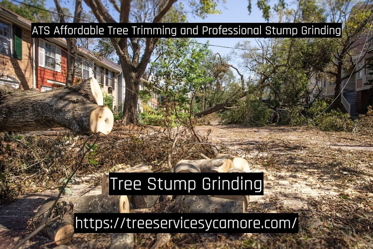 ATS Affordable Tree Trimming and Professional Stump Grinding