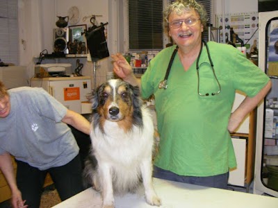 Photos of Curiositas Veterinary Surgery