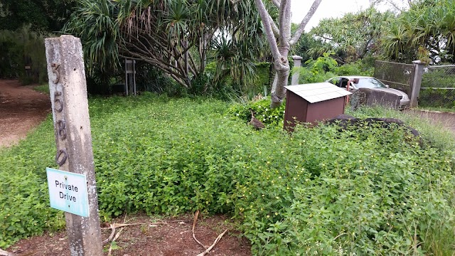 Kilauea Lighthouse & Wildlife