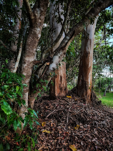 Millstream Reserve - Visual