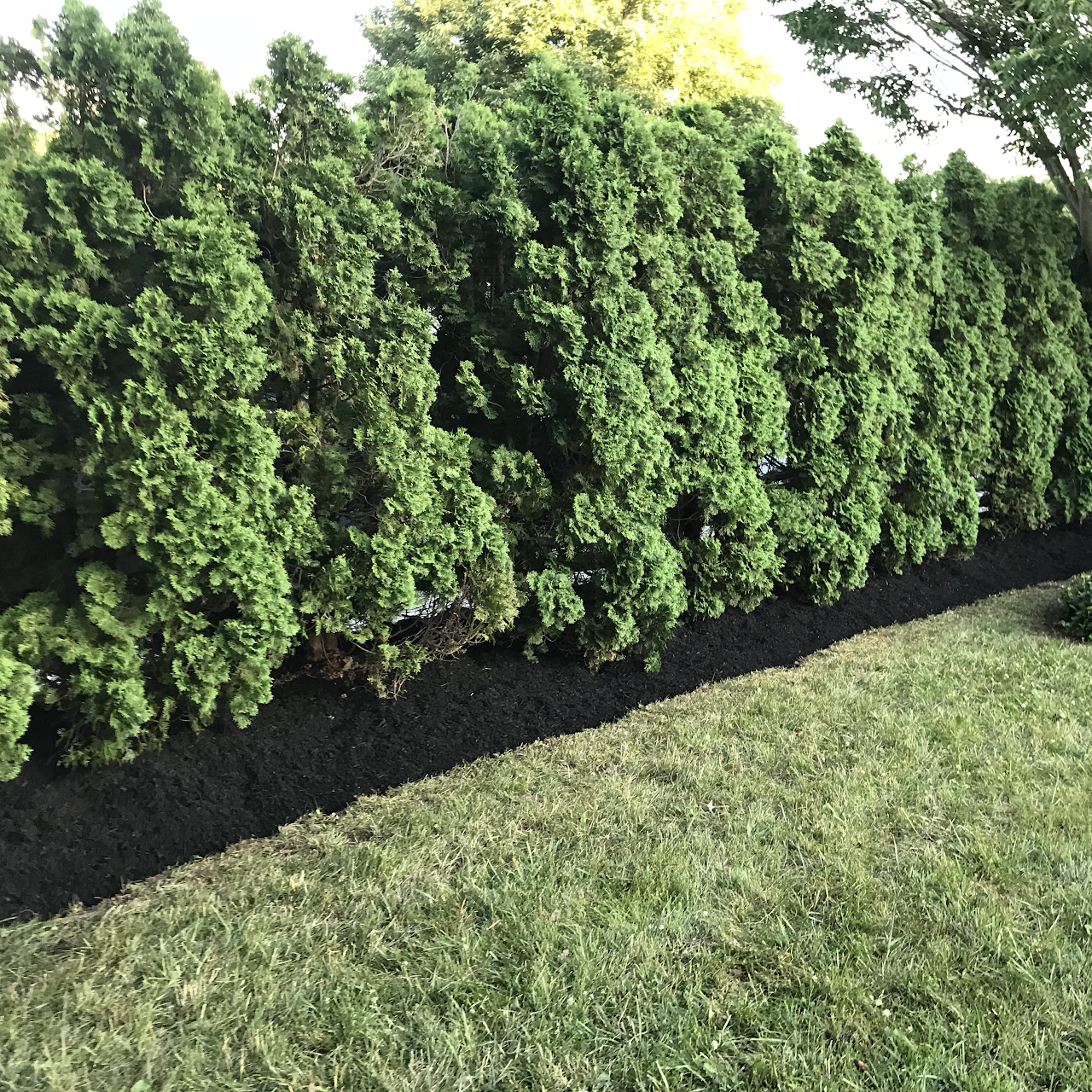 Family Landscaping LLC Lawn Care Service