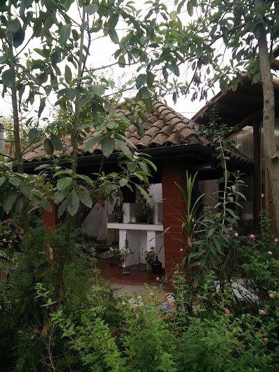 Photos of Hostal Vida 2000
