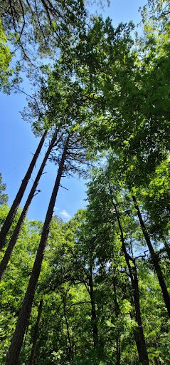 Monument Trails - Hobbs State Park - Thumbnail