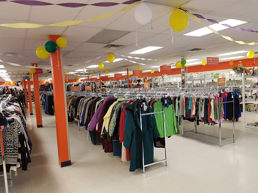 Qualitown Store - Thumbnail