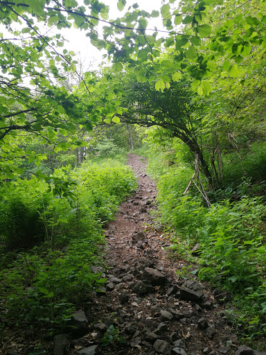 Monte Lama - Visual
