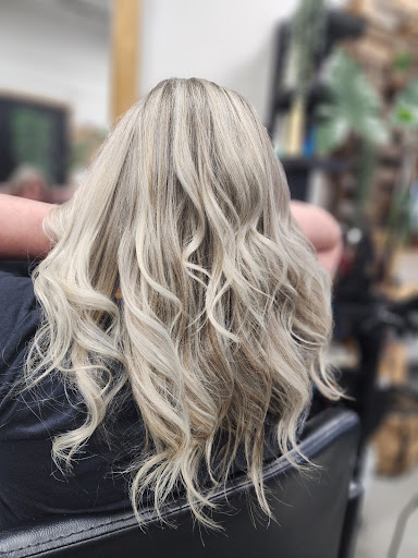 Salon l’ébouriffée