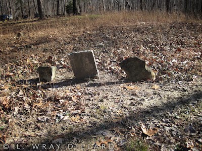 Photos of Gum Pond Cemetery