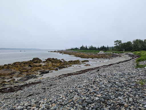 Thomas Raddall campground - Thumbnail