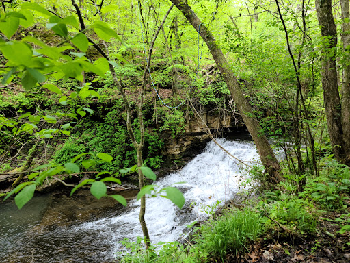 Short Springs Natural Area - Thumbnail