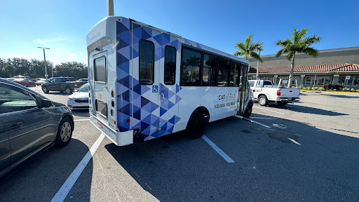 Collier Area Transit - Visual