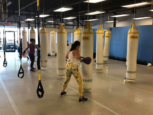 Functionally Active Fitness - Visual