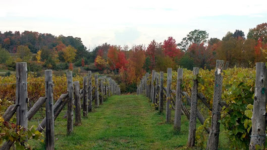Spare Key Winery 06872 Upper Bay Shore Rd, Charlevoix, MI 49720