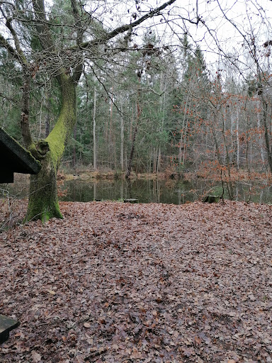 Lämmerbrunnen - Thumbnail