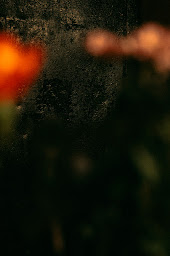 Photo n°9 de Poupoupidou brocante à Sommières (Magasin d'ameublement et de décoration)