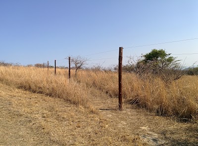 Photos of iMfolozi Mpila Camp