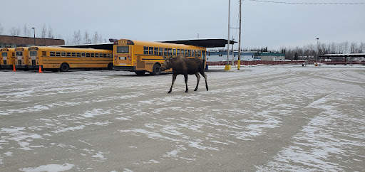 ASD Transportation Center