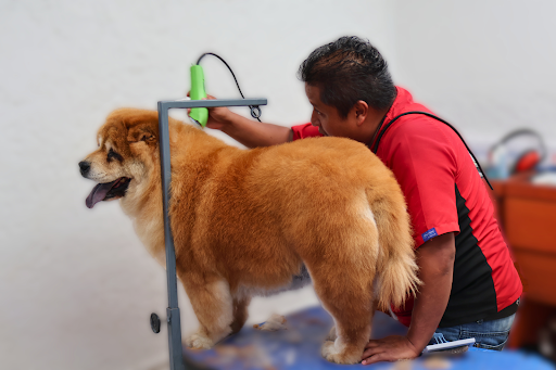Centro Médico Veterinario Mundo Animal