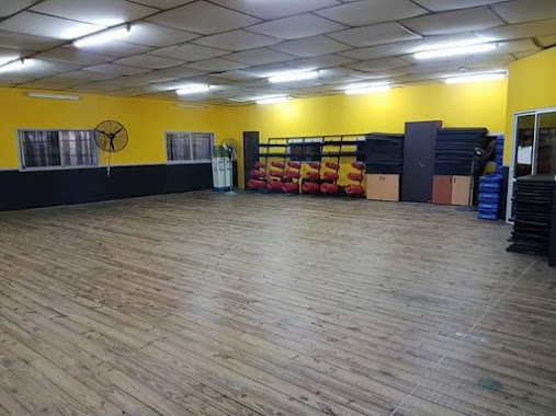 Athletic Gym, Author: Margarita Mambrín