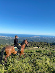 Photo n°23 de Ranch des Baous à Tourrettes-sur-Loup (Centre de randonnée équestre)