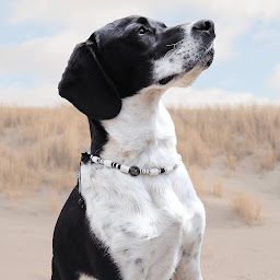 Photo n°13 de Une Folie Douce - accessoires pour chiens et chats à Saint-Romain-au-Mont-d'Or (Magasin d'articles pour animaux)