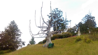 Photos of Cinchona Botanical Gardens