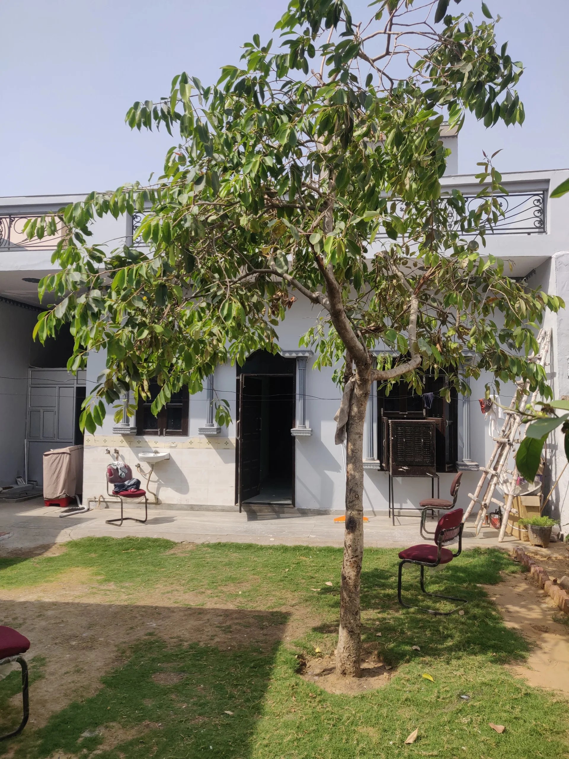 Home Style Paying Guest House(For Boys)