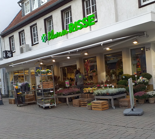 Blumen Risse Blumenladen Soest