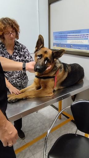 Centre Veterinari Esplugues