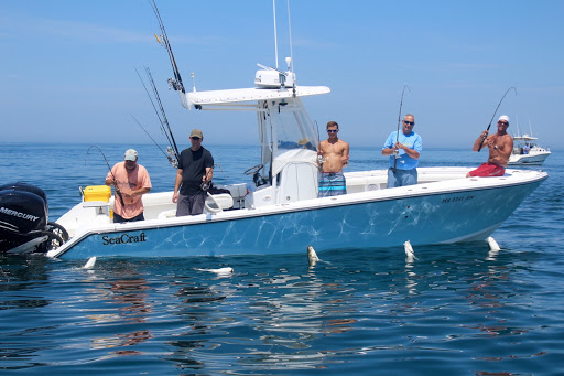 Reel Deal Fishing Charters, Truro, DestiMap