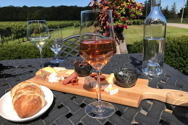 Visit Hidden Bench Vineyards Winery On Your Trip To Beamsville