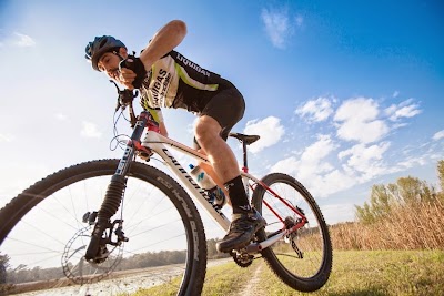 Photos of Affordabike Bicycle Shop